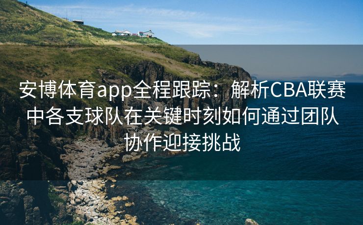 安博体育app全程跟踪：解析CBA联赛中各支球队在关键时刻如何通过团队协作迎接挑战  第2张