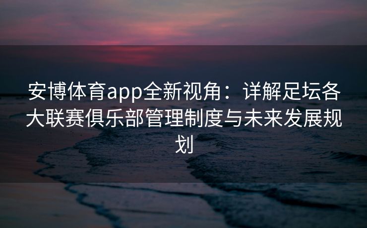 安博体育app全新视角：详解足坛各大联赛俱乐部管理制度与未来发展规划  第2张
